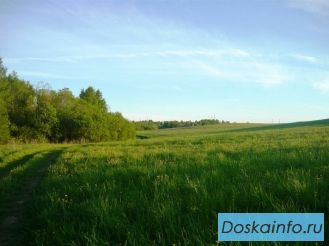 Участки 15 cоток в дер. Каниcты, 12 км от СПб