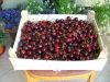 Свежие сербские фрукты и овощи