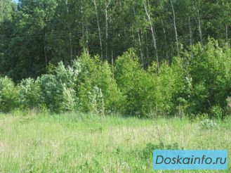 Участок 16,5 соток  62 км по Калужскому ш в ОКП