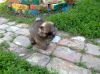 Уменьшенная картинка