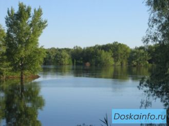 Продаю земельный участок с жилым домом на Волге!