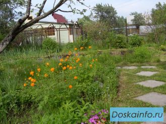 Продам дачу в д.Васютино