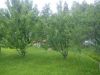 Уменьшенная картинка