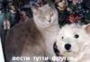 Уменьшенная картинка