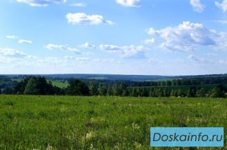 Земля СХ Дмитровское Ш. 95.КМ. от 999 руб/сотка