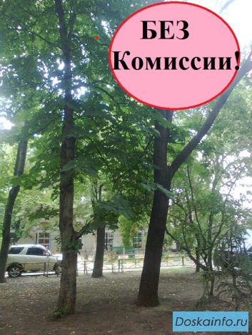 Сдам ОФИС м,Арбатская недорого