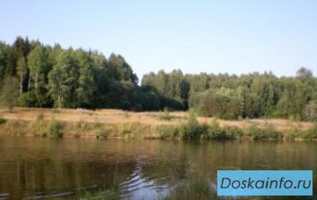 Уч. 55 сот. д. Тургенево Яросл.ш.85 км. от МКАД