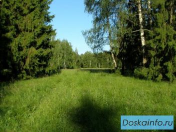 Участки в Истринском районе