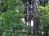 Уменьшенная картинка