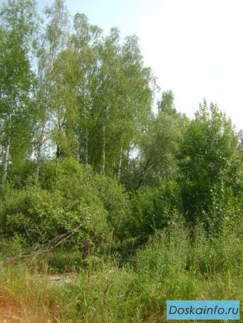 Продаётся Участок! 12 сот., 32 км от МКАД, д. Бритово, Раменский р-н.