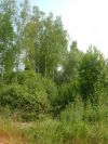 Уменьшенная картинка