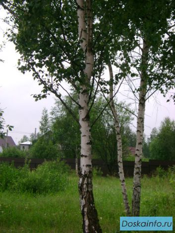 Продаётся Участок! 8 сот. д. Устиновка, Раменский р-н.