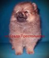 Уменьшенная картинка