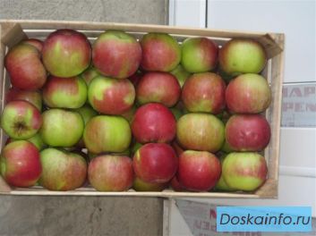 Сербские яблоки