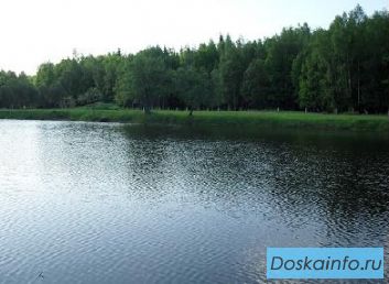 Очистка водоемов от ила. Углубление водоемов.