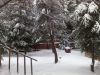 Уменьшенная картинка