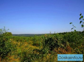 Участок у леса 12 соток 391000 рублей.