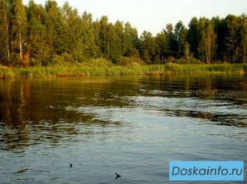 Рузский район, земельный участок в деревне Лихачево
