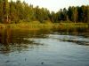 Рузский район, земельный участок в деревне Лихачево