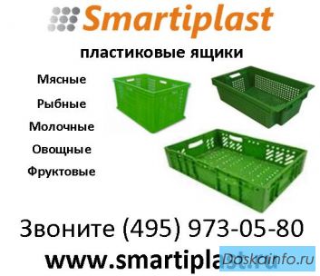 Продаем пластиковые ящики для овощей ящик для фруктов молочные ящики
