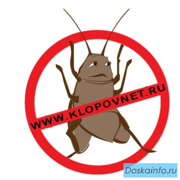 Уничтожение: клопы блохи тараканы мыши крысы муравьи клещи осы 