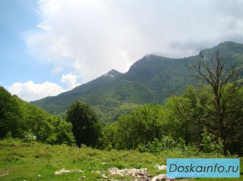 Земельный участок на Красной Поляне