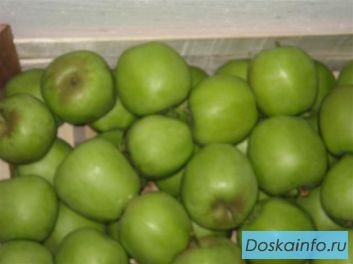 Продаем Сербские яблоки