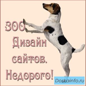 Недорогие сайты для питомников и владельцев животных. Реклама питомцев  в сети интернет.