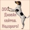 Недорогие сайты для питомников и владельцев животных. Реклама питомцев  в сети интернет.