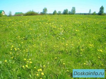 Продажа Участков в пос. Солнечное Тосненский р-н