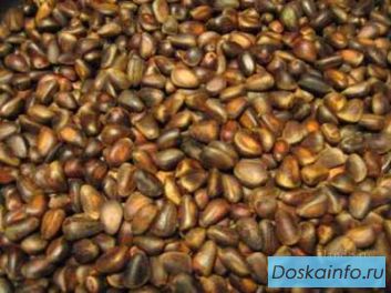 Кедровая продукция, орех, ядро, масло, жмых и др.