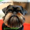Уменьшенная картинка