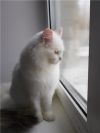 Уменьшенная картинка