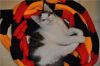 Уменьшенная картинка