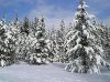 Уменьшенная картинка