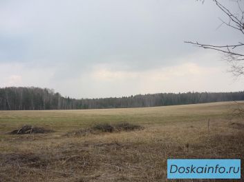 Земля 1.48 Га под Дачное строительство Ленинградское шоссе 27 км от МКАД