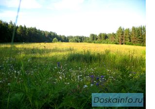 Продаю участок 3 га в Карелии на берегу озера
