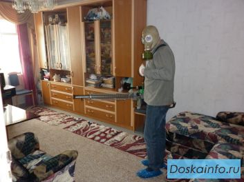 Уничтожение клопов, тараканов, блох, крыс, мышей, долгоносика в Подольске и Подольском районе