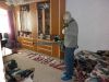 Уничтожение клопов, тараканов, блох, крыс, мышей, долгоносика в Подольске и Подольском районе