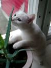 Уменьшенная картинка