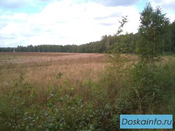 Продам участки ИЖС в Чеховском районе Моск. обл,