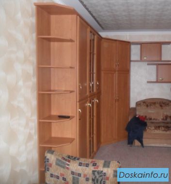Квартира в г. Электрогорск однокомнатная