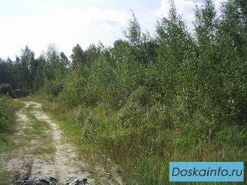 Участок ПМЖ в Электрогорск