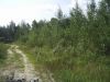 Участок ПМЖ в Электрогорск