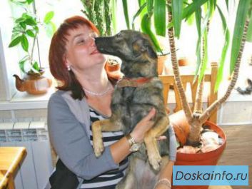 Щенок Герда, 11 мес. в хорошие руки