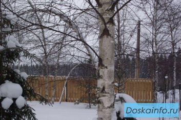 Участок 7 соток у можайского моря 450т. руб.