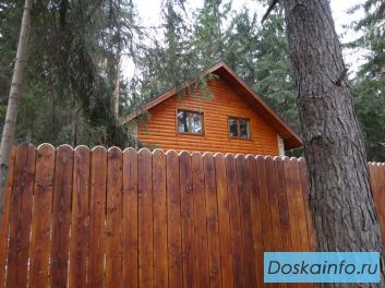 Дом Еськино 240кв.м. на участке с хвойными деревьями. 