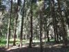 Уменьшенная картинка