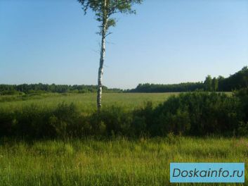 Прoдаётся участoк прoмышленного назначeния