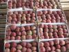 Продаем Сербские яблоки 1 и 2 класс